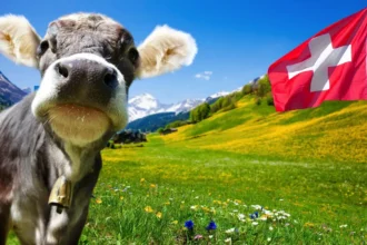 Lustige Gesetze in der Schweiz: Die absurdesten Regeln, die dich zum Lachen bringen