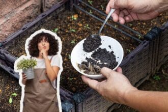 Schnecken ohne Chemie vertreibt
